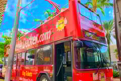 Miami: Hop-on Hop-off Bus Tour with Boat Cruise