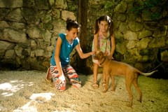 Riviera Maya: Croco Cun Interactive Zoo Tour