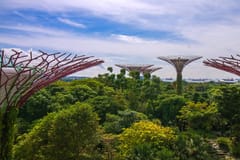 Singapore: Gardens by the Bay Bundle Entry Ticket