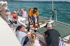 Nassau: Snorkeling, Pig Beach, Swim with Turtles, and Lunch