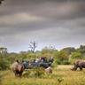 Motswari Private Game Reserve by NEWMARK