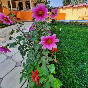 APACHI Recreation Area in the CHIMGAN Mountains