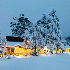 Discovery Resorts - Cradle Mountain