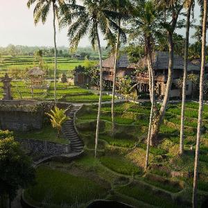 Kamandalu Ubud Resort