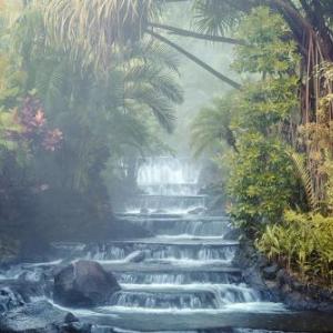 Tabacón Thermal Resort & Spa
