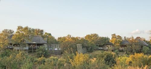 Thornybush Simbambili Lodge